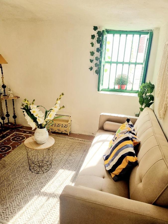 La Cueva Apartaments Valencia ปาเตร์นา ภายนอก รูปภาพ